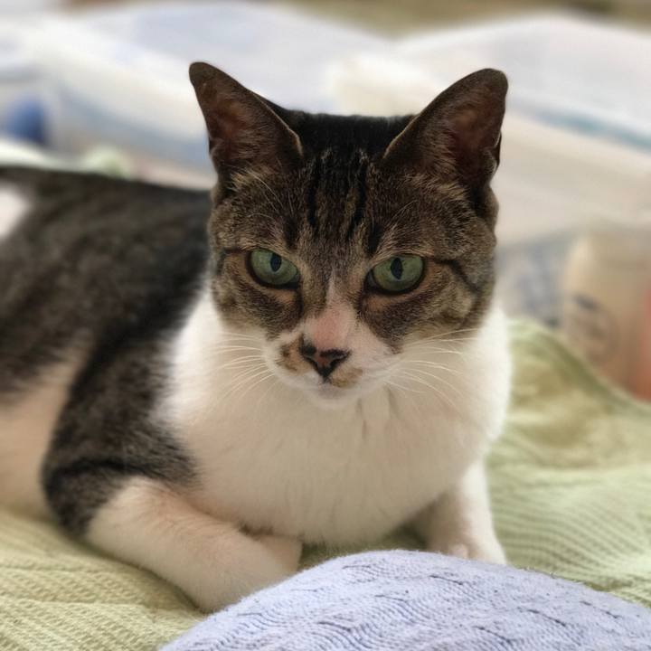 0d4de352 57ae 436d a108 d7024acd6879