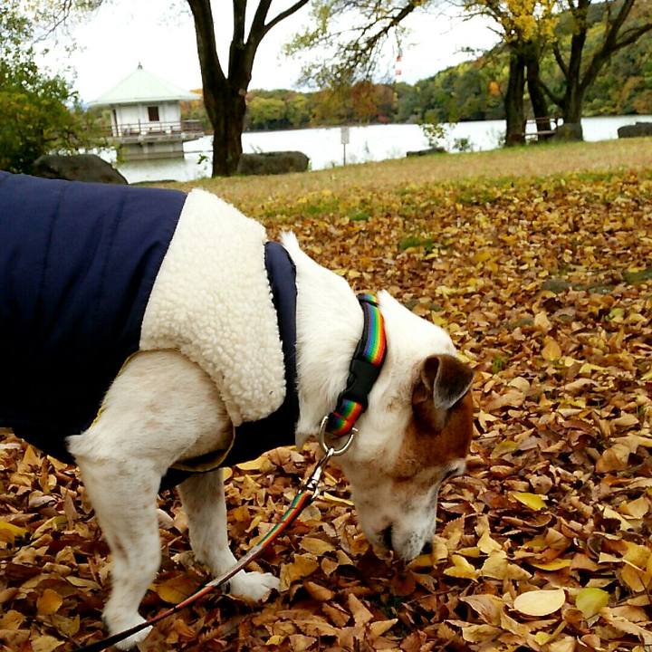 0d4ec4a4 6dcb 43dc ab6b afae38e1afbf