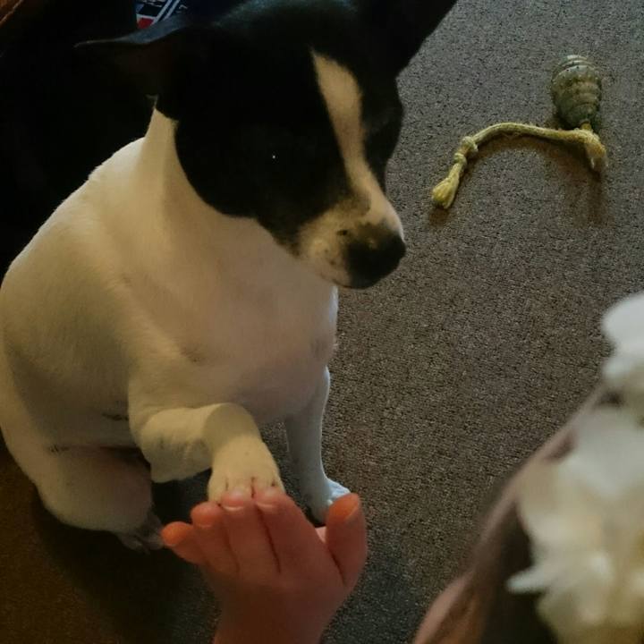 0d4f3c1a ef7a 44b4 931e 9d28809d00f5