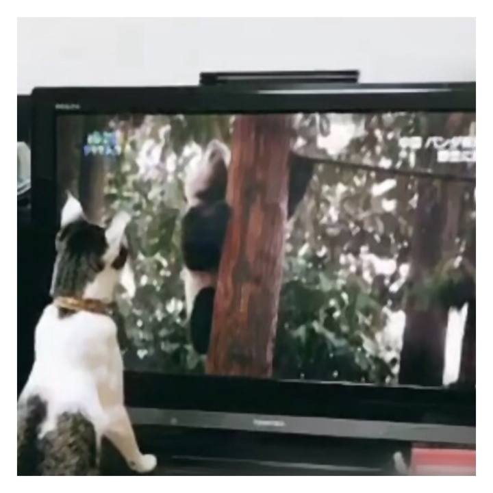 0d4f9cff 8f2e 4a20 aca3 9eddba9a1ead