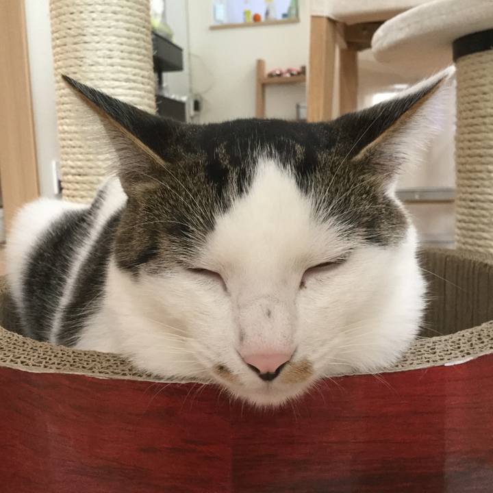 0d4fc439 bafe 485d 8d8b f5a1fcf7e517