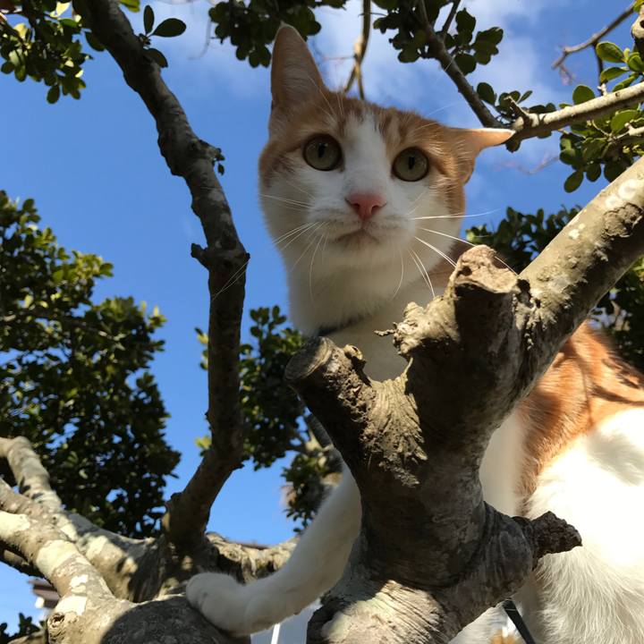 0d4ff2a3 3ba4 4c4e 8a2e 0377a3f46446