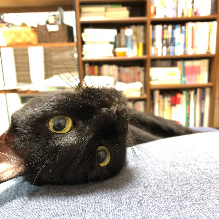 0d5103f3 014f 47d7 8c01 9f9983b0d4c8