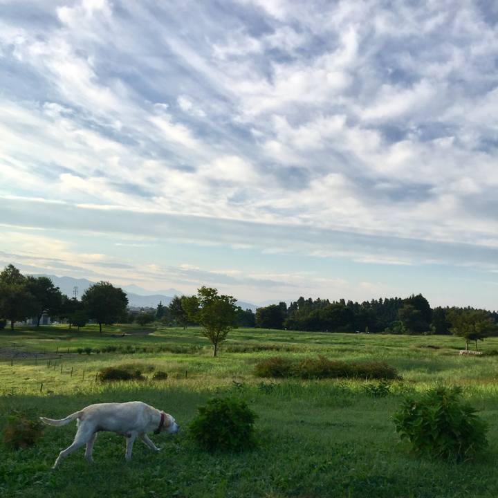 0d516a6a 7acf 4c8c 8684 ae2508c6a2f0