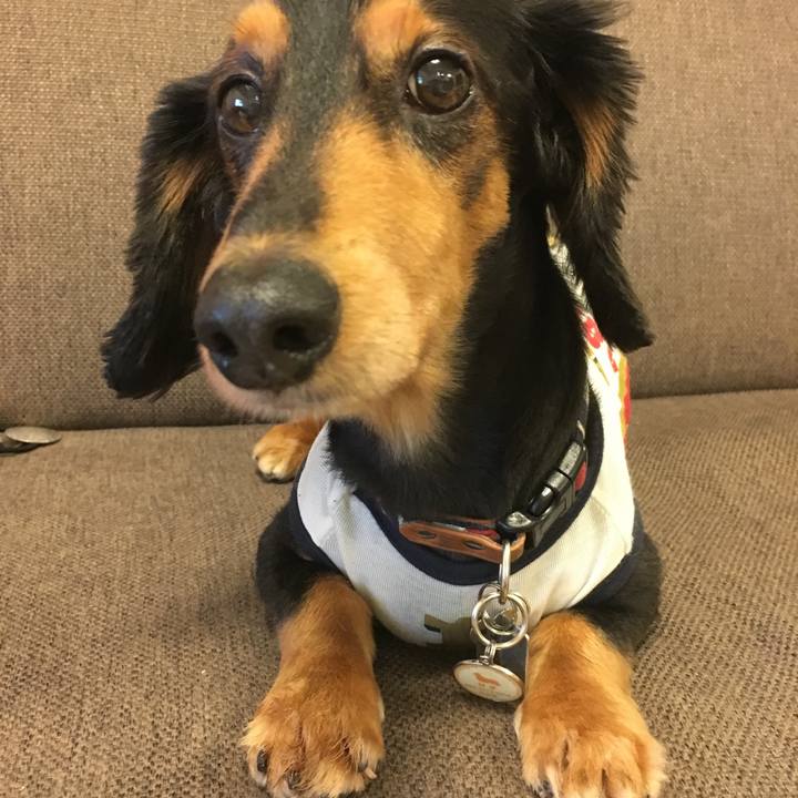 0d51dab4 9b1a 46b5 b49d 9e39e0b1f283