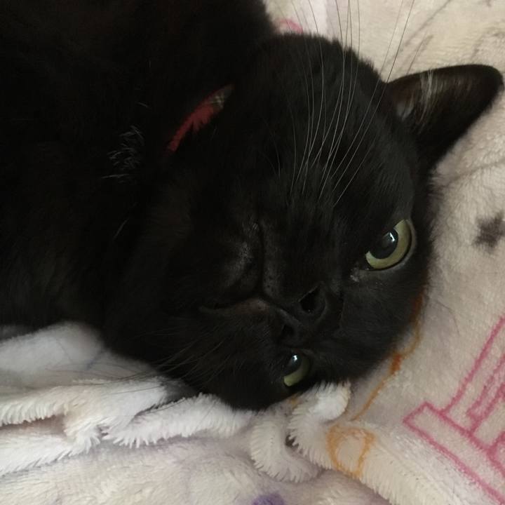 0d523228 8b42 47ca 877f 245b41aa6531