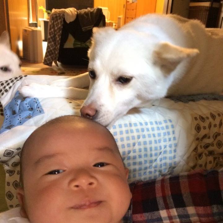 0d5238e3 817e 4431 b7e9 4e50bcd941ba