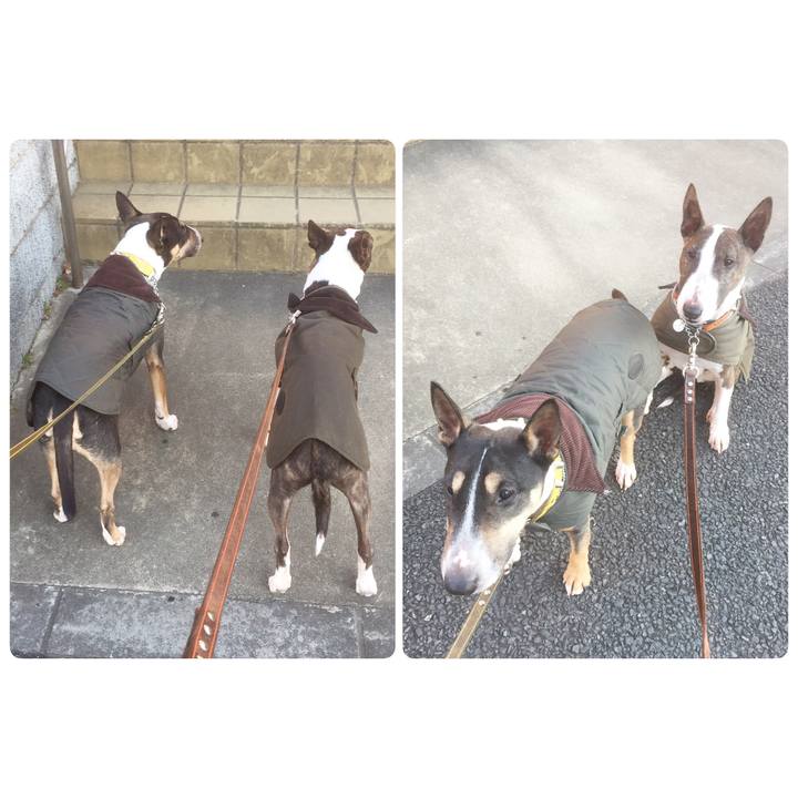 0d525353 fa50 46bf ab1a 68e5537e38e0