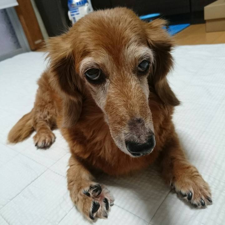 0d527aa2 1073 4a2b bfde ee60c3dbd039