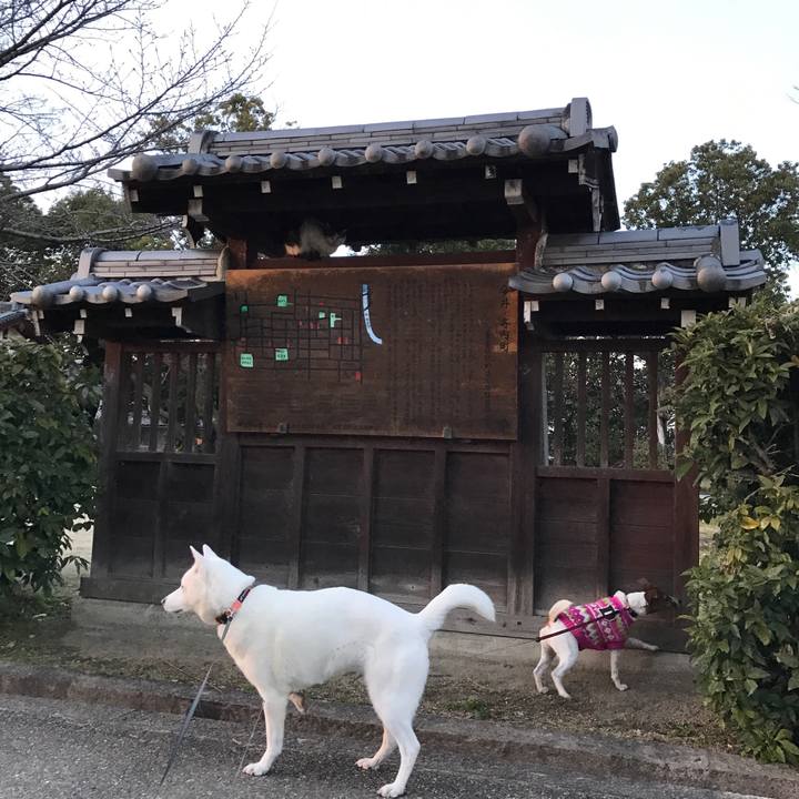 0d5295a7 00d7 4a30 9960 9ea3ad2176ba