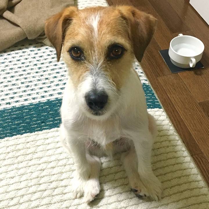 0d52c163 023d 4071 a42e 8e86e85978cc