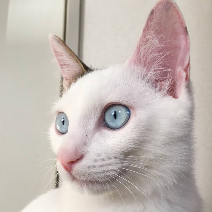 0d53173f 0996 4e66 83d3 01b7c2d2ed56