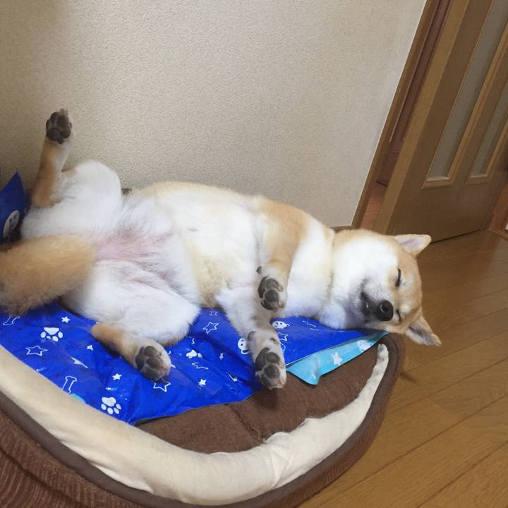 0d53746f 24e2 438c bdd9 dfa64a58eb2f