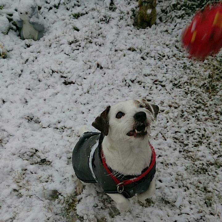 0d53bf82 a4be 4dca adf3 5004ef19ce8e