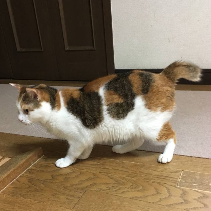 0d540151 be3f 4215 b16c e363a4c8e9bd