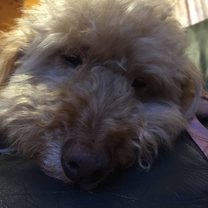 0d54c96a 10f1 4843 b427 106fd730c13f