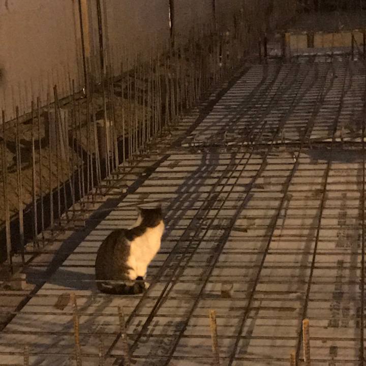 0d54d0f6 bd2a 4db3 b991 1c711df61008