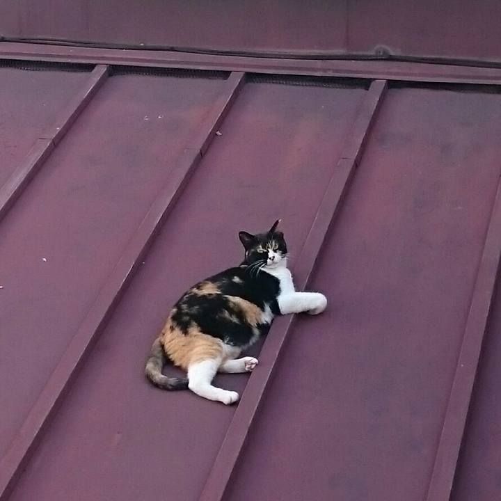 0d551598 fe06 417d af9c c34ef4f5ec9d