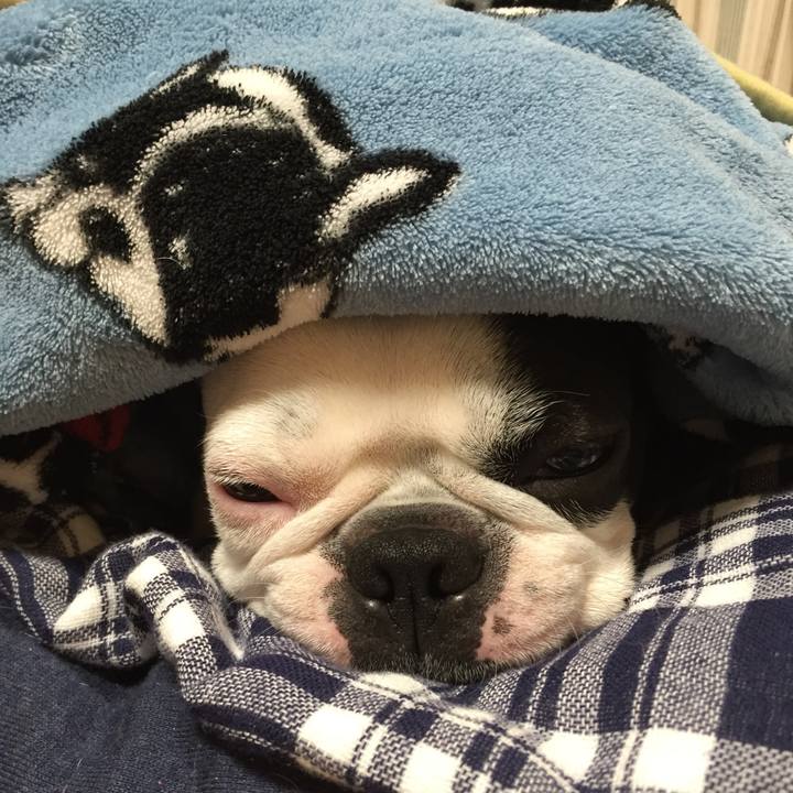 0d563938 4cc4 4f75 8b8e 4e5306215932