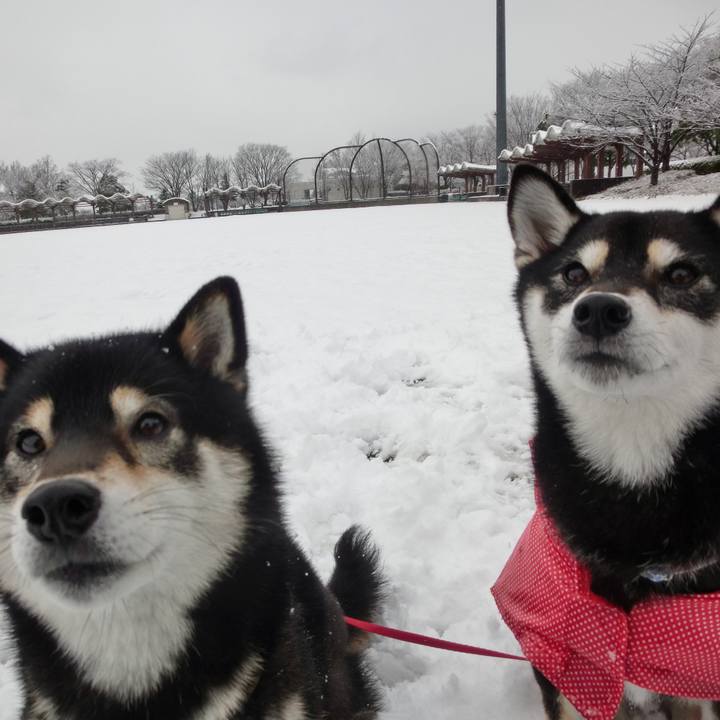 0d56430a 86db 4090 b71c ba59d3461cf4