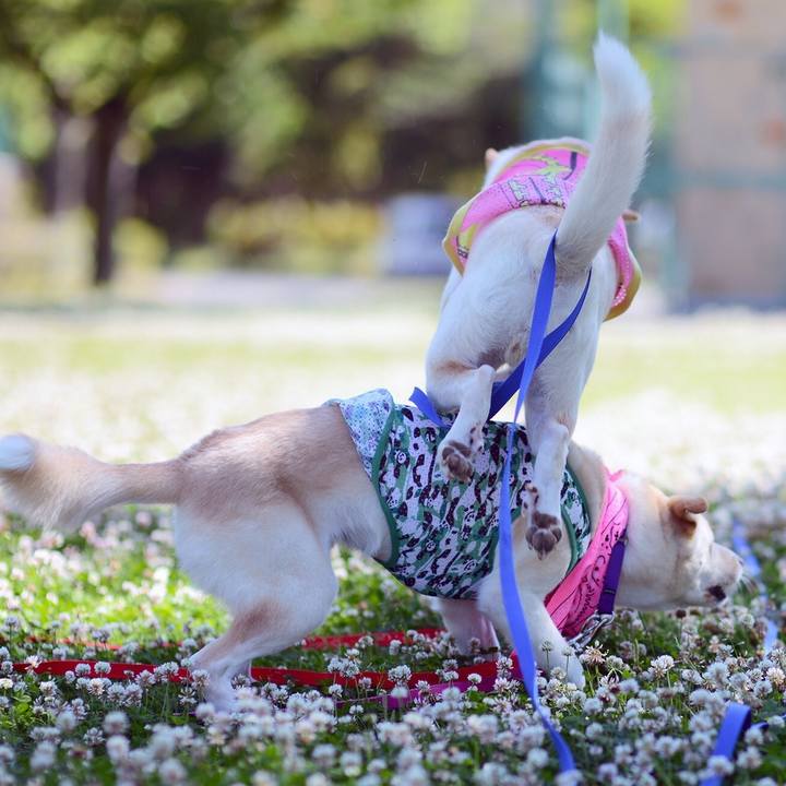 0d56e8b1 e059 4f20 b8d9 2bff12a1dfdb