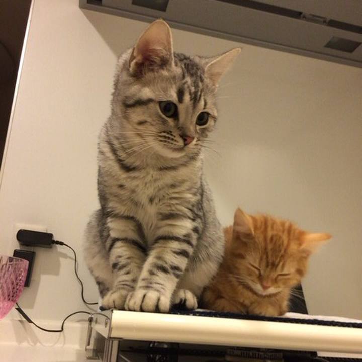 0d570249 f331 414d 9e16 982176fedc0c