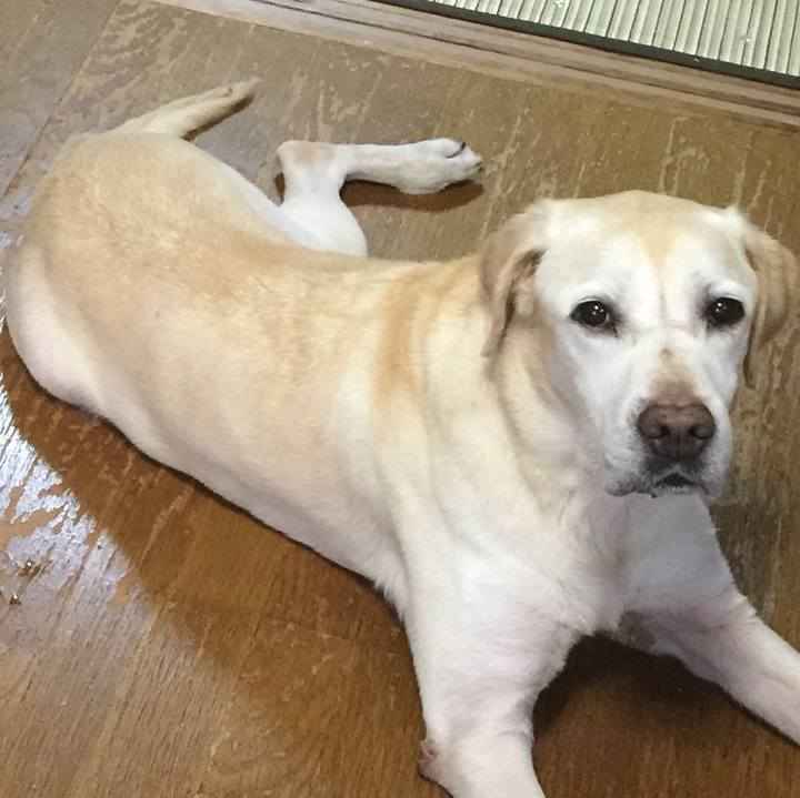 0d576b6e 5c6d 43b8 80c4 95d3c2e7dff7