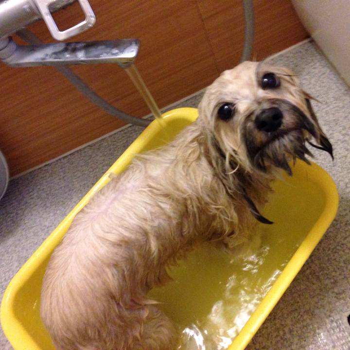 0d57ae08 7d0e 4874 8ed6 aba51ebeca10