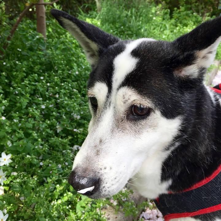 0d57e087 9aed 477a 9156 18fc66942064