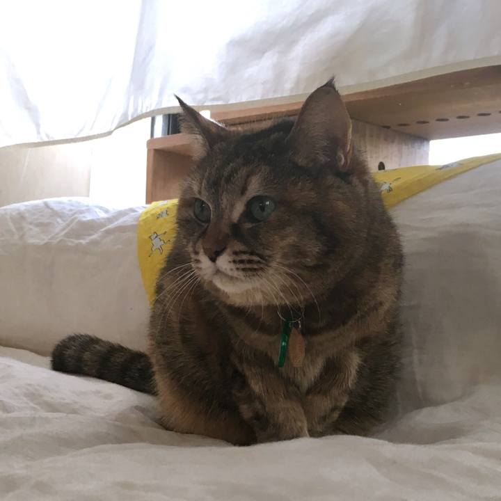 0d57e4fb 1e5e 4314 99db 24f0ee6bda69