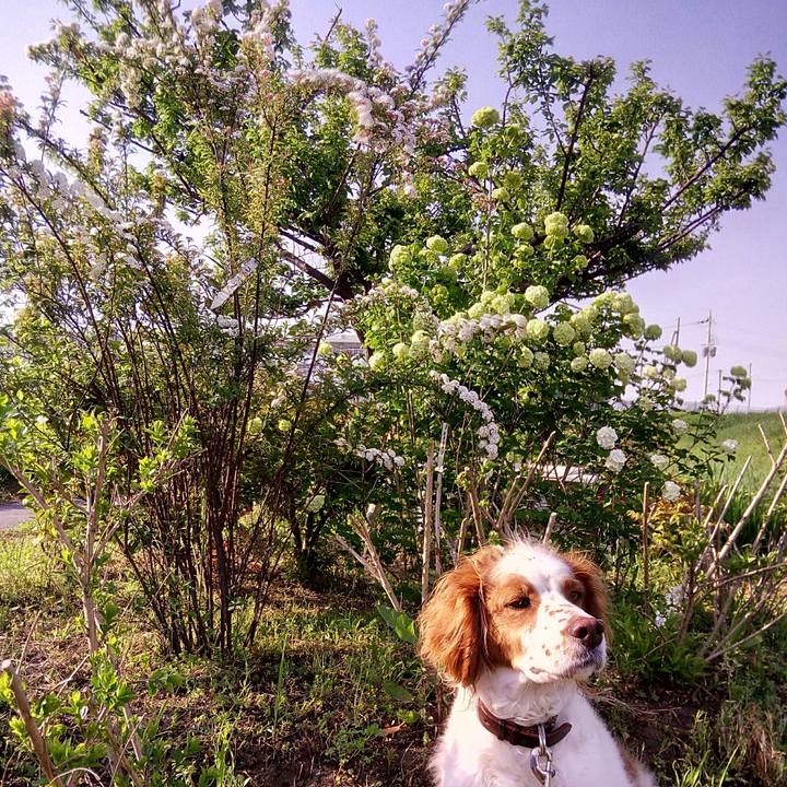 0d583f6c 0057 4b0e 93b4 730dad7f135a