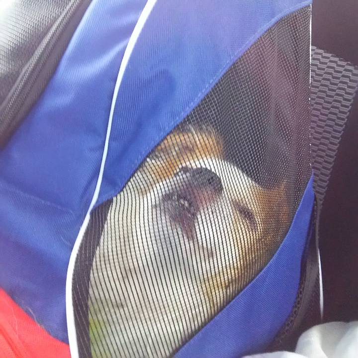 0d587241 363e 4584 ac74 0d9d4feb6032