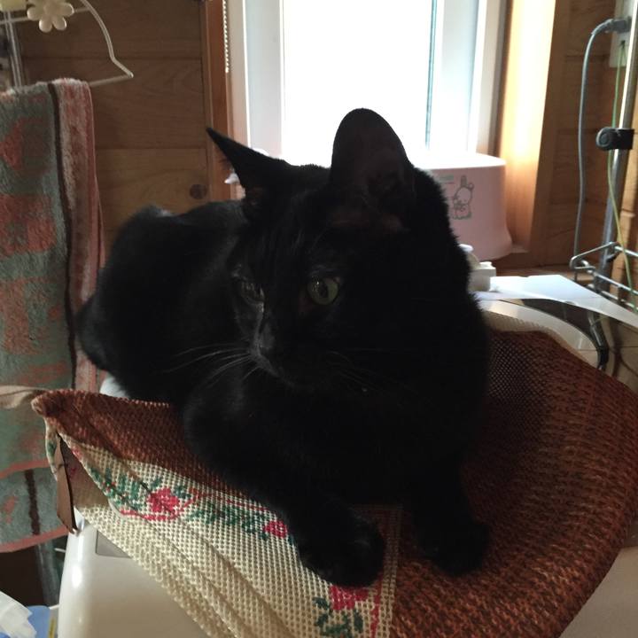 0d58de38 0742 40d7 9a38 604368be8715