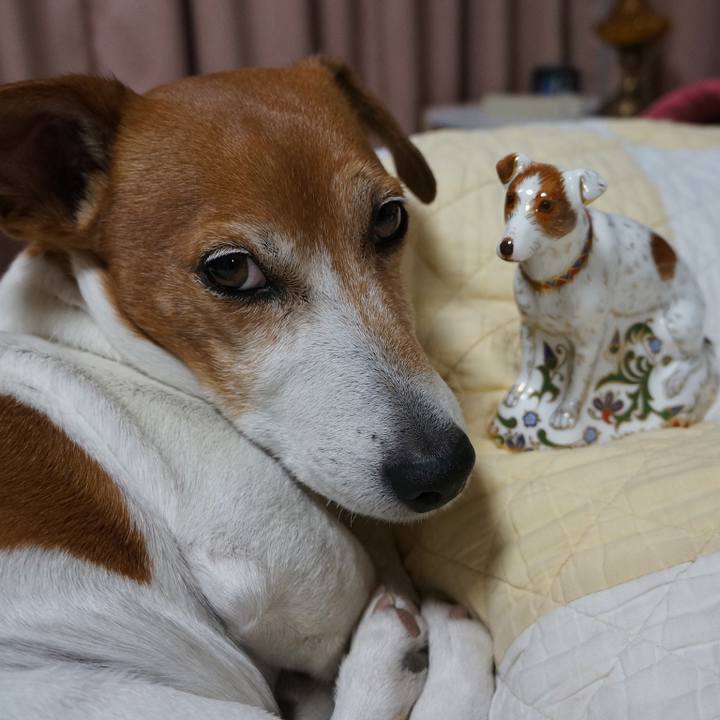 0d59137e 1fe1 4a8b a5a6 b6aa3eb0bfeb