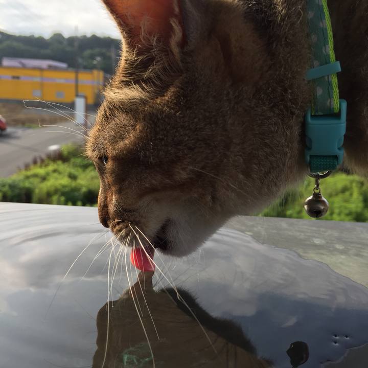 0d5940da 5da2 4805 b189 cdb01d572ebe