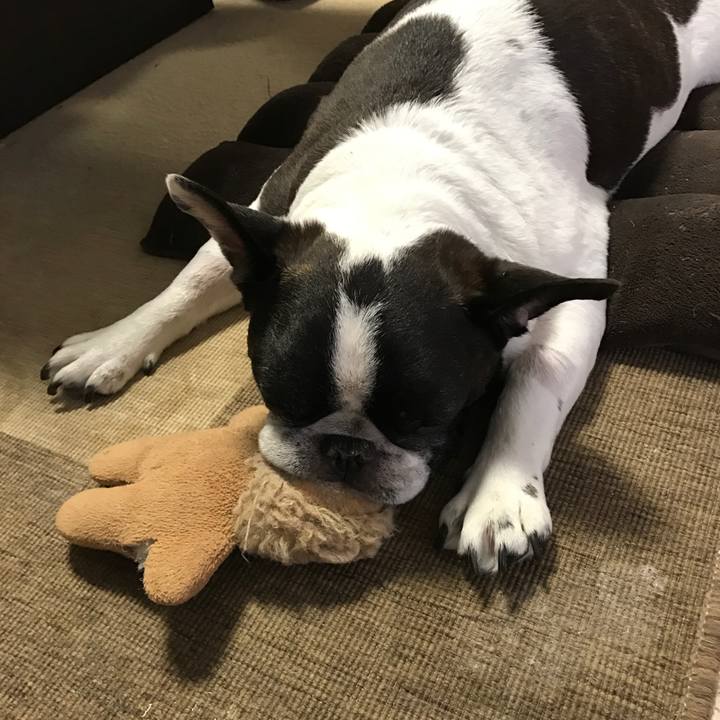 0d5984e7 b84d 4296 8beb a733be06514c