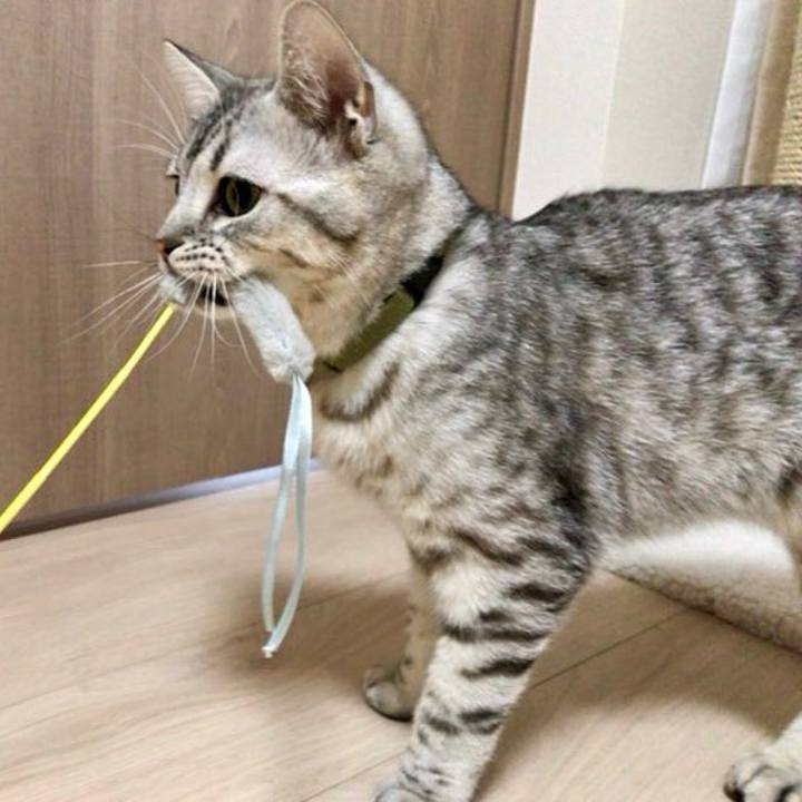 0d5a9390 46a7 49b1 81a9 6476120f8637