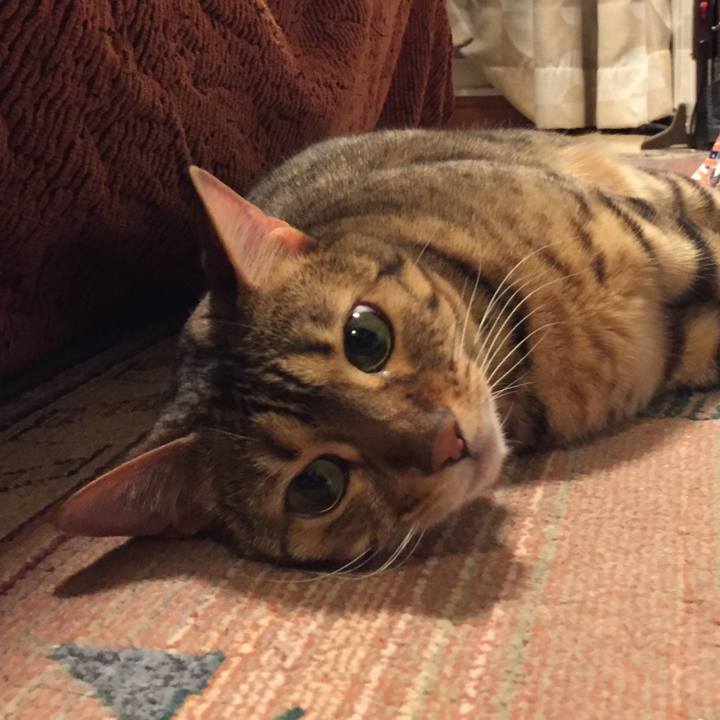 0d5a951e 5193 463c aba6 0763775697c1