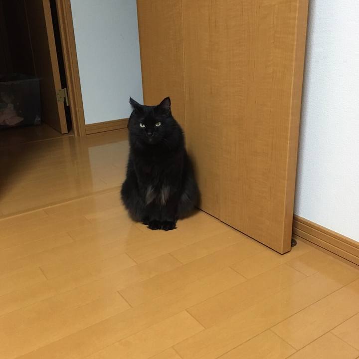 0d5aa5af a816 4d01 ad5e 67d1421b7b7b