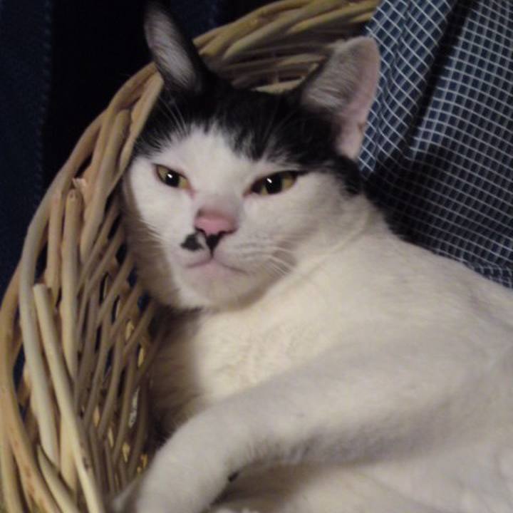 0d5bdaf2 9a8c 4960 895f 1d2ff9089596