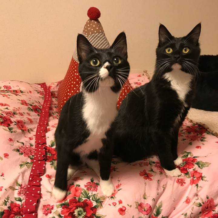 0d5c1c55 4b3d 47d9 8b43 fb09dbc9896e