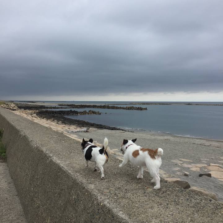 0d5c818c cc7b 417a a2ea 0e730643ed67