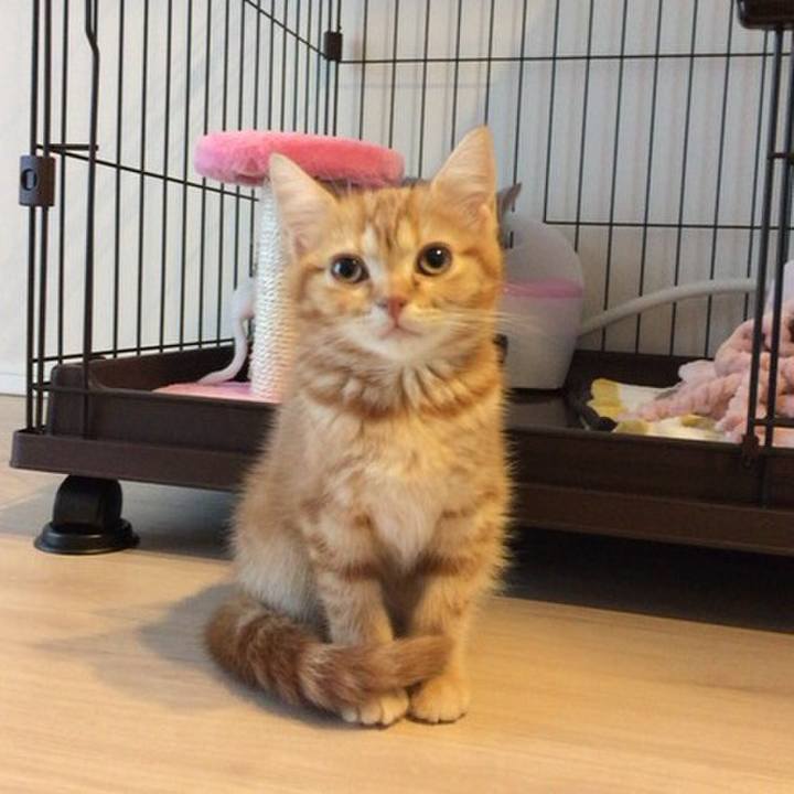 0d5cb9f7 d366 416d ad5e 32da5e7a95a5