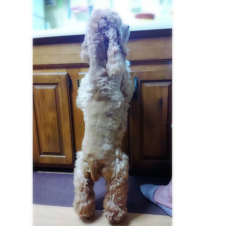 0d5d7cd9 ba65 439b a014 2d94027bfa7b