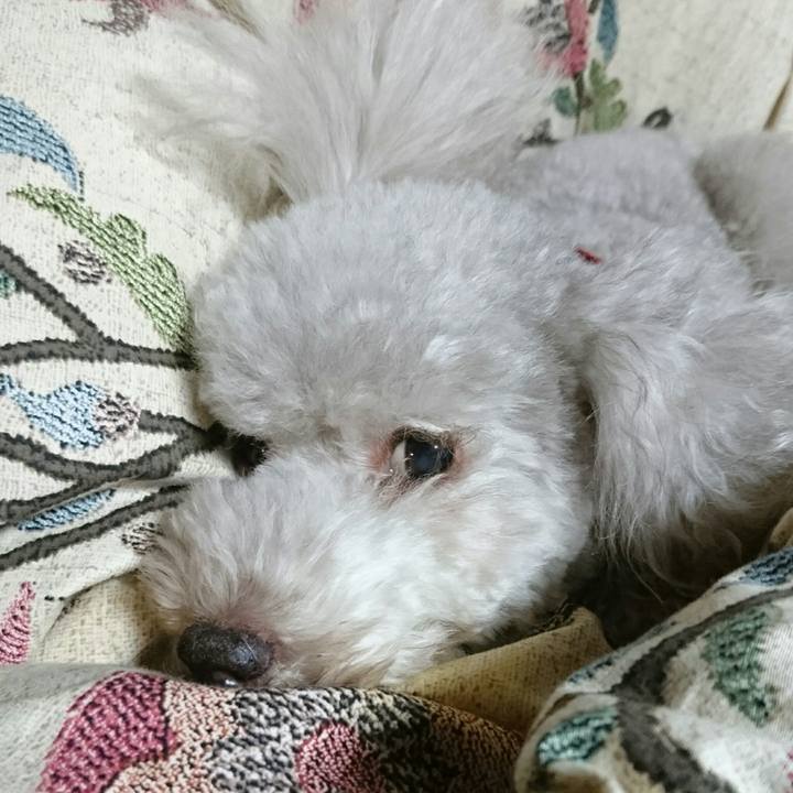 0d5d9992 74b5 4f0e a06c c474ea9d0cbf