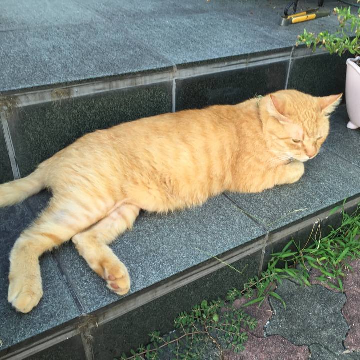 0d5e2243 73b1 4ffc 8bf7 ae86fb6c93f4