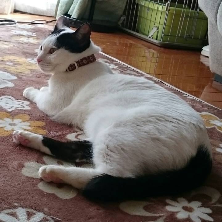 0d5e4735 7425 4680 8730 34ea48b51687