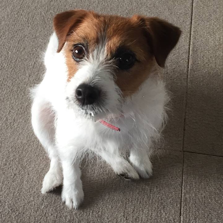 0d5e9f77 5eed 43d9 9c6c aa5051757736