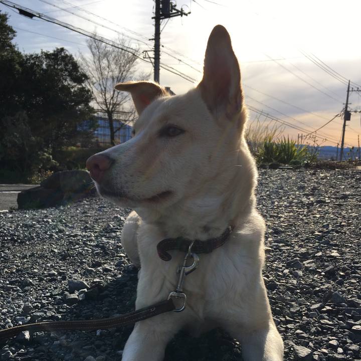 0d5eb4ad 3026 429b b214 d2e2a912678b