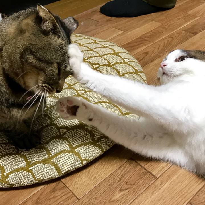 0d5f5984 df53 4930 839a ecef42e33298